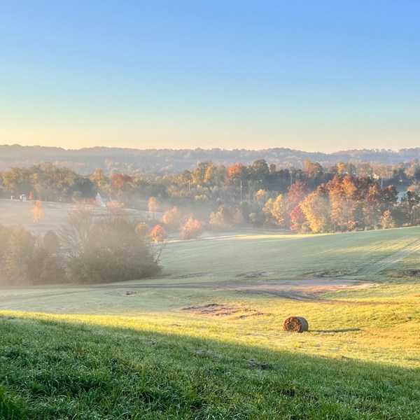 Connect Edgmont Hike: Okehocking&nbsp;Sunrise